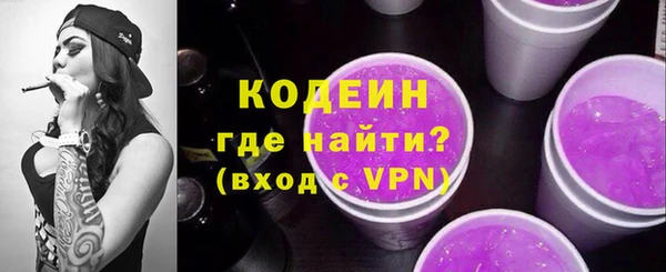 spice Бикин