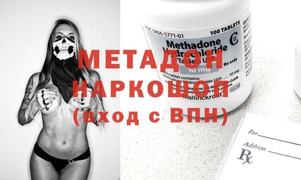 сатива Новозыбков