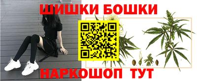 хмурый Заводоуковск