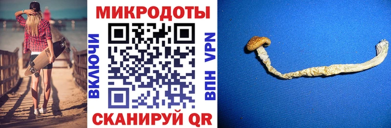 ссылка на мегу как зайти Тулун Галлюциногенные грибы Cubensis