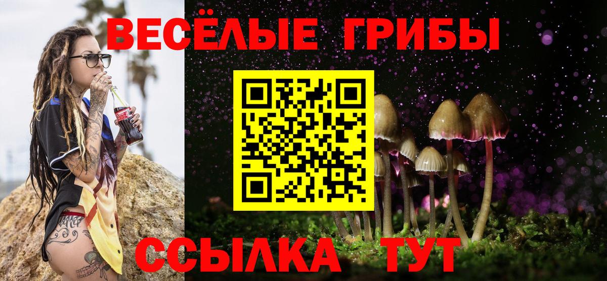 Галлюциногенные грибы Magic Shrooms  Псилоцибиновые грибы ЛСД  где найти наркотики  Тулун  Вход с VPN 