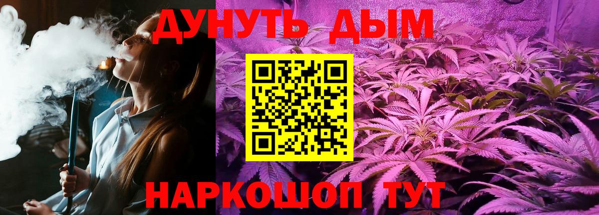 Каннабис план  Бошки Шишки гибрид  Тулун  Канабис Bruce Banner 